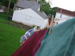 Hung out to dry