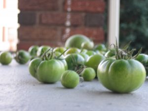 Green Tomatoes 2