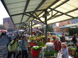 Bloomington Farmer's Market