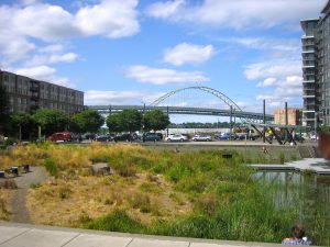 Tanner Springs Park