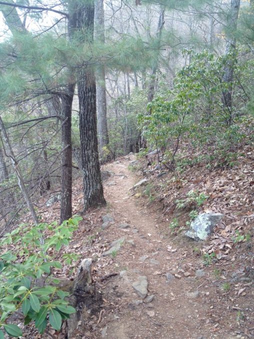 Craven Gap Trail